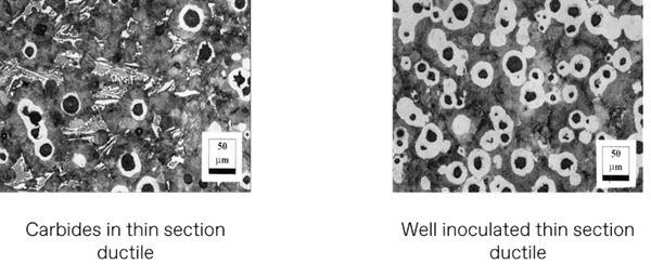 Microscope observation of section ductile